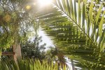Thumbnail 56 van Villa te koop in Jávea / Spanje #60034