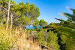 Thumbnail 2 van Bouwgrond te koop in Altea / Spanje #62261