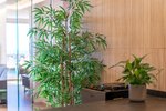 Thumbnail 15 van Appartement te koop in Altea / Spanje #62396