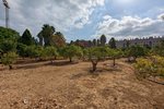 Thumbnail 10 van Finca te koop in Denia / Spanje #59042