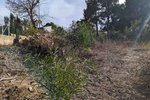 Thumbnail 6 van Bouwgrond te koop in Moraira / Spanje #59268