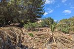 Thumbnail 11 van Bouwgrond te koop in Denia / Spanje #59338
