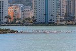 Thumbnail 30 van Villa te koop in Calpe / Spanje #62315