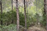 Thumbnail 1 van Bouwgrond te koop in Jávea / Spanje #51204