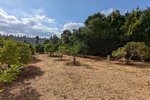 Thumbnail 2 van Finca te koop in Denia / Spanje #59042