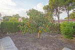 Thumbnail 45 van Villa te koop in Denia / Spanje #59294