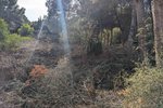 Thumbnail 5 van Bouwgrond te koop in Moraira / Spanje #59268