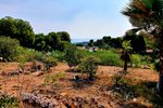Thumbnail 1 van Bouwgrond te koop in Moraira / Spanje #58994