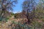 Thumbnail 4 van Bouwgrond te koop in Denia / Spanje #59336