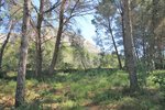 Thumbnail 4 van Bouwgrond te koop in Jávea / Spanje #58304