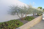 Thumbnail 50 van Design Villa te koop in Moraira / Spanje #59446
