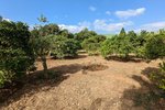 Thumbnail 6 van Finca te koop in Denia / Spanje #59042