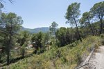 Thumbnail 20 van Villa te koop in Alcalali / Spanje #60520
