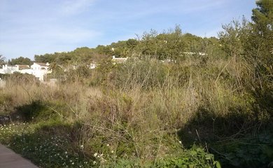 Bouwgrond te koop in Moraira / Spanje