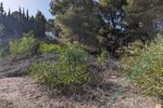 Thumbnail 7 van Bouwgrond te koop in Moraira / Spanje #59268