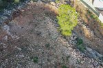 Thumbnail 6 van Bouwgrond te koop in Pego / Spanje #59592