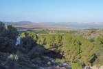 Thumbnail 4 van Bouwgrond te koop in Pego / Spanje #59592