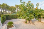 Thumbnail 46 van Villa te koop in Denia / Spanje #59294