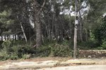 Thumbnail 10 van Bouwgrond te koop in Jávea / Spanje #43741