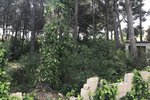 Thumbnail 6 van Bouwgrond te koop in Jávea / Spanje #43741