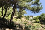 Thumbnail 9 van Bouwgrond te koop in Jávea / Spanje #44080