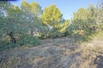 Thumbnail 9 van Bouwgrond te koop in Benissa / Spanje #51435