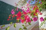 Thumbnail 7 van Villa te koop in Jávea / Spanje #59743