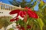 Thumbnail 33 van Villa te koop in Benissa / Spanje #59663