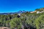 Thumbnail 21 van Villa te koop in Altea / Spanje #59589