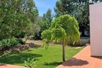 Thumbnail 16 van Villa te koop in Denia / Spanje #50944
