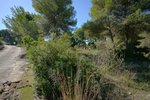 Thumbnail 4 van Bouwgrond te koop in Jávea / Spanje #59062