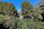 Thumbnail 28 van Villa te koop in Pedreguer / Spanje #60388
