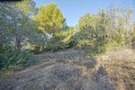 Thumbnail 8 van Bouwgrond te koop in Benissa / Spanje #51435