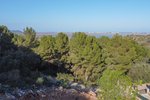 Thumbnail 1 van Bouwgrond te koop in Pego / Spanje #59592