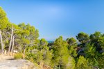 Thumbnail 7 van Bouwgrond te koop in Altea / Spanje #62261