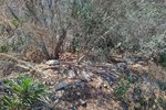 Thumbnail 8 van Bouwgrond te koop in Denia / Spanje #59338