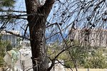 Thumbnail 1 van Bouwgrond te koop in Jávea / Spanje #45562