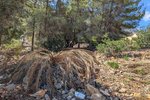 Thumbnail 10 van Bouwgrond te koop in Denia / Spanje #59338