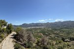 Thumbnail 17 van Villa te koop in Pego / Spanje #62208