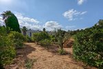 Thumbnail 5 van Finca te koop in Denia / Spanje #59042