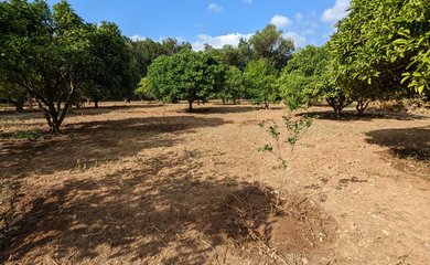 Finca te koop in Denia / Spanje