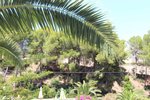 Thumbnail 4 van Bouwgrond te koop in Jávea / Spanje #58912