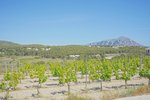 Thumbnail 51 van Villa te koop in Benitachell / Spanje #61288