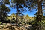 Thumbnail 9 van Bouwgrond te koop in Moraira / Spanje #61366