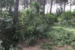 Thumbnail 5 van Bouwgrond te koop in Jávea / Spanje #43741