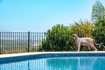Thumbnail 51 van Villa te koop in Jávea / Spanje #62222