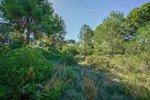Thumbnail 7 van Bouwgrond te koop in Jávea / Spanje #59062
