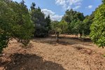 Thumbnail 7 van Finca te koop in Denia / Spanje #59042