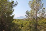 Thumbnail 8 van Bouwgrond te koop in Altea / Spanje #42300