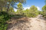 Thumbnail 3 van Bouwgrond te koop in Jávea / Spanje #59059
